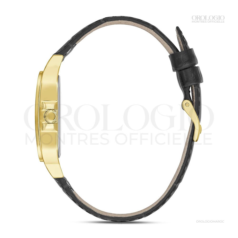 GW0309L2 (3)