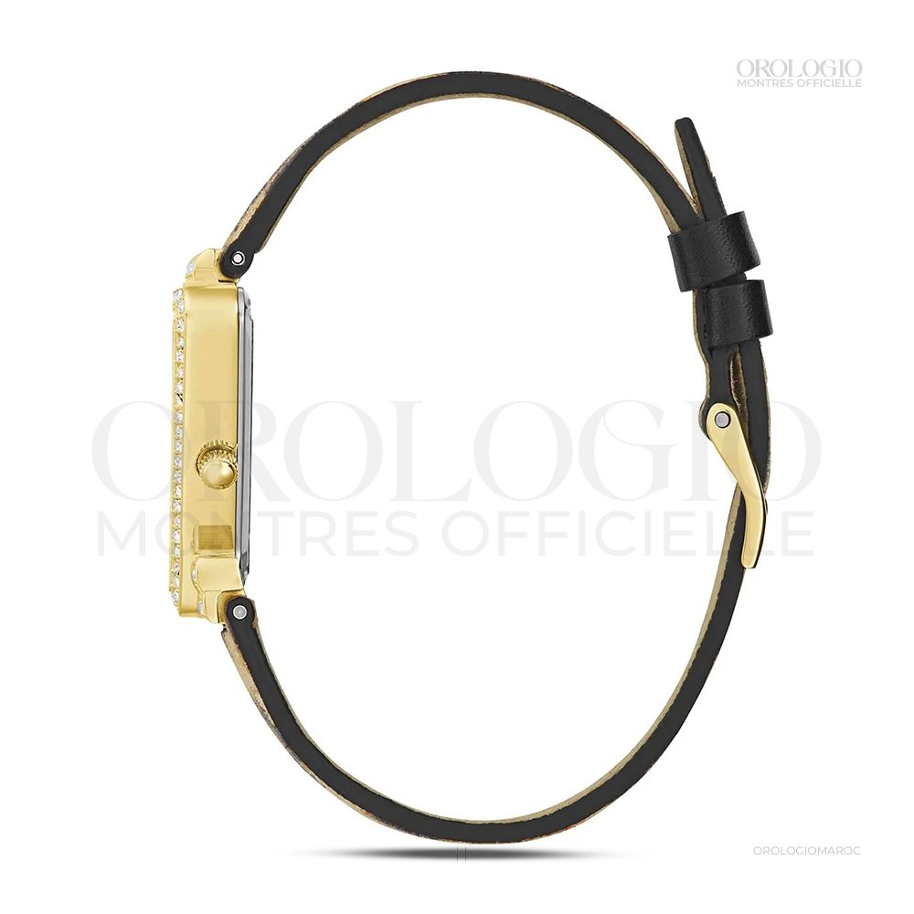 GW0504L3 (2)