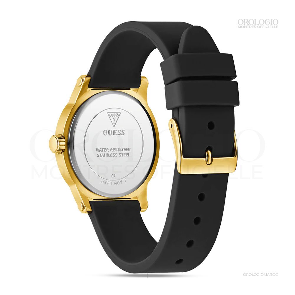 GW0860L1 (4)
