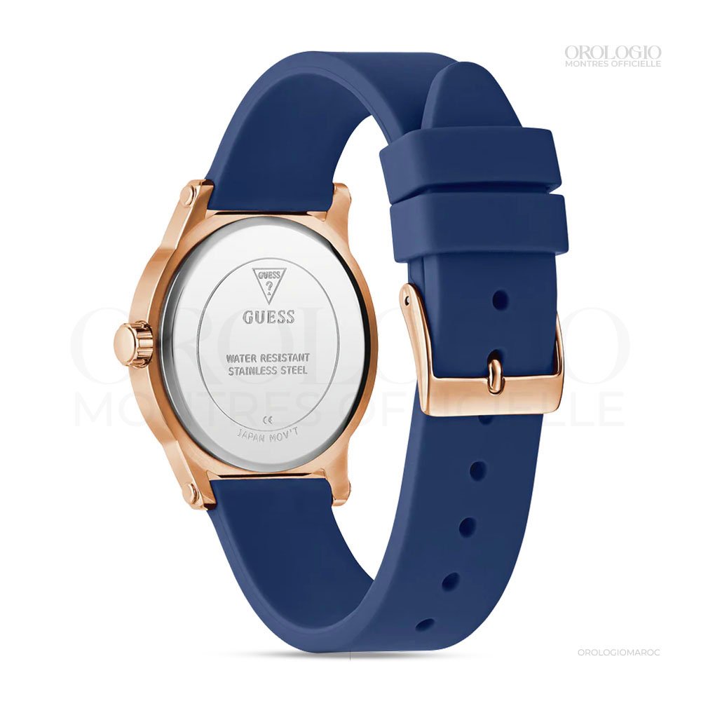 GW0860L2 (4)
