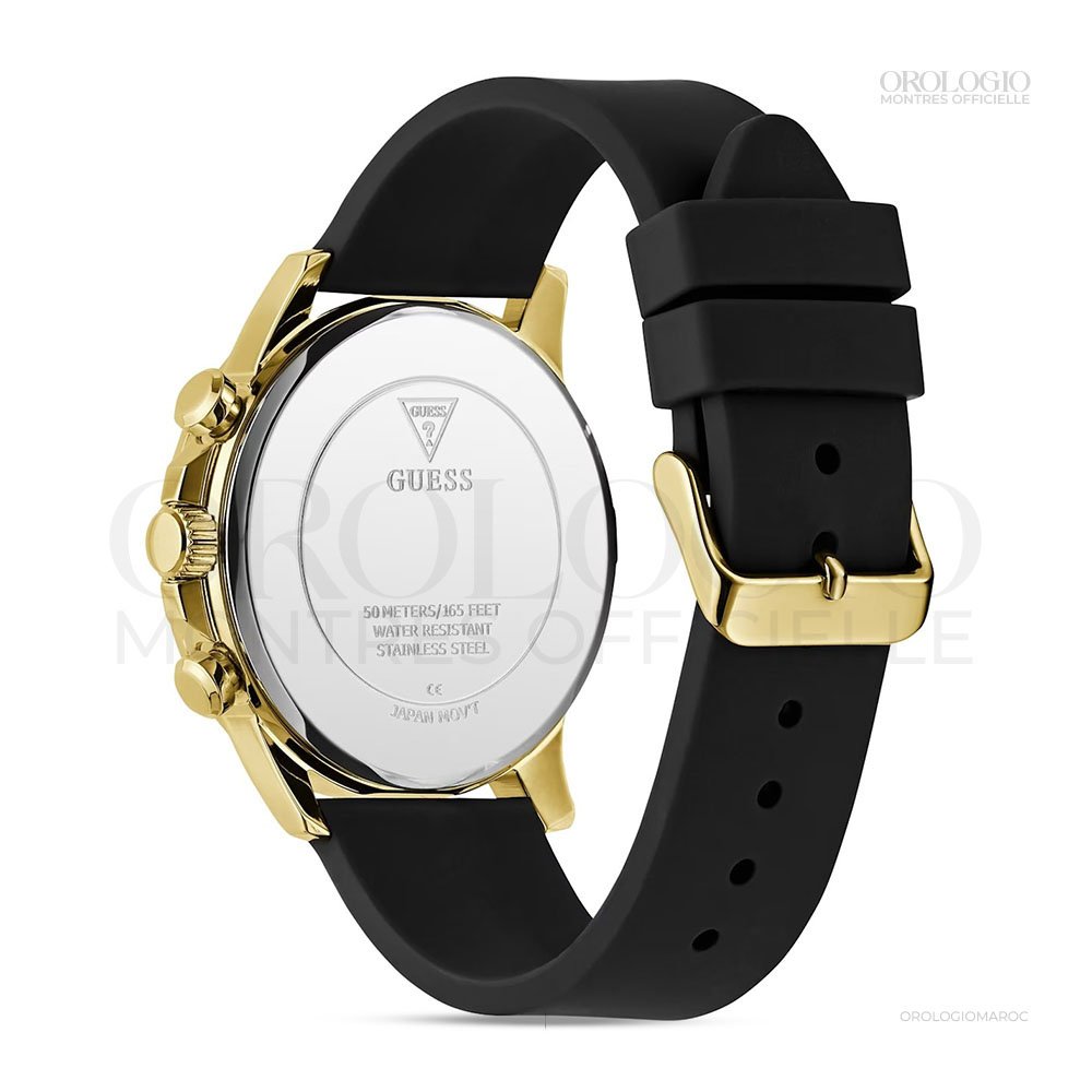 GW0913G2 (3)